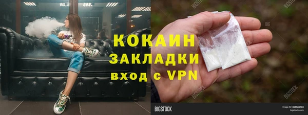 сатива Арсеньев