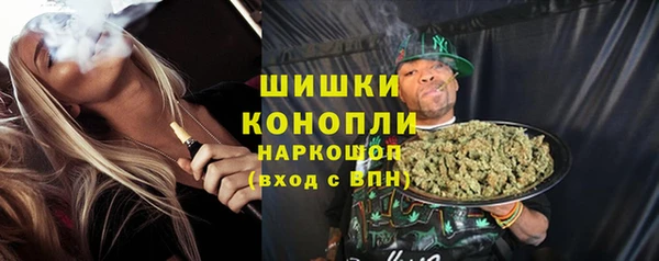 сатива Арсеньев