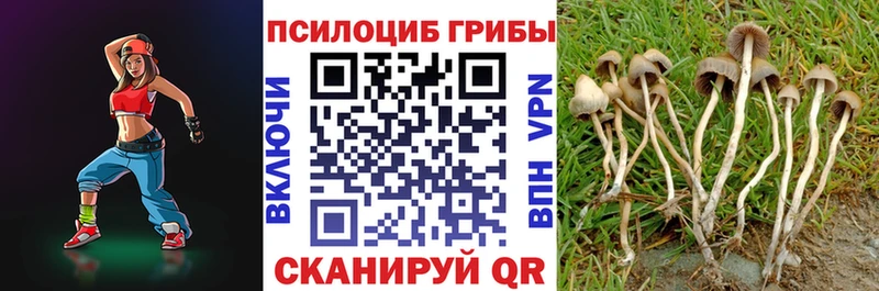 даркнет сайт  Микунь  KRAKEN вход  Псилоцибиновые грибы Psilocybine cubensis 
